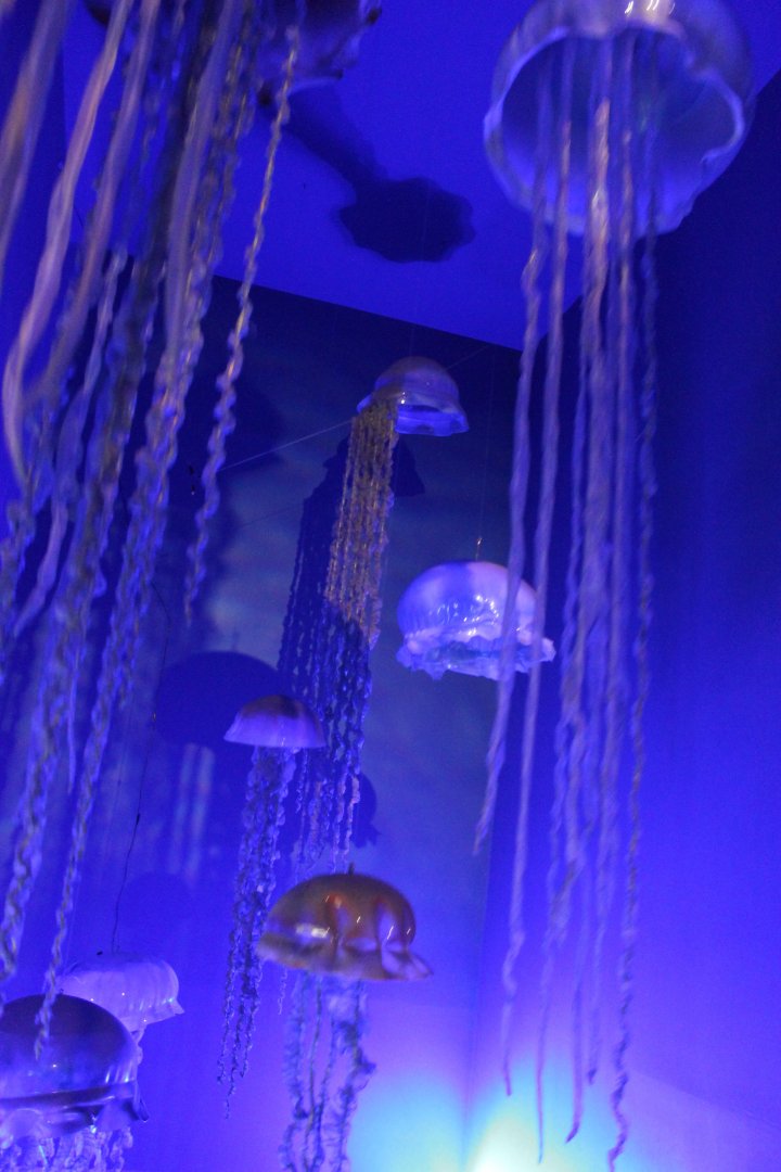 More artificial jellyfish