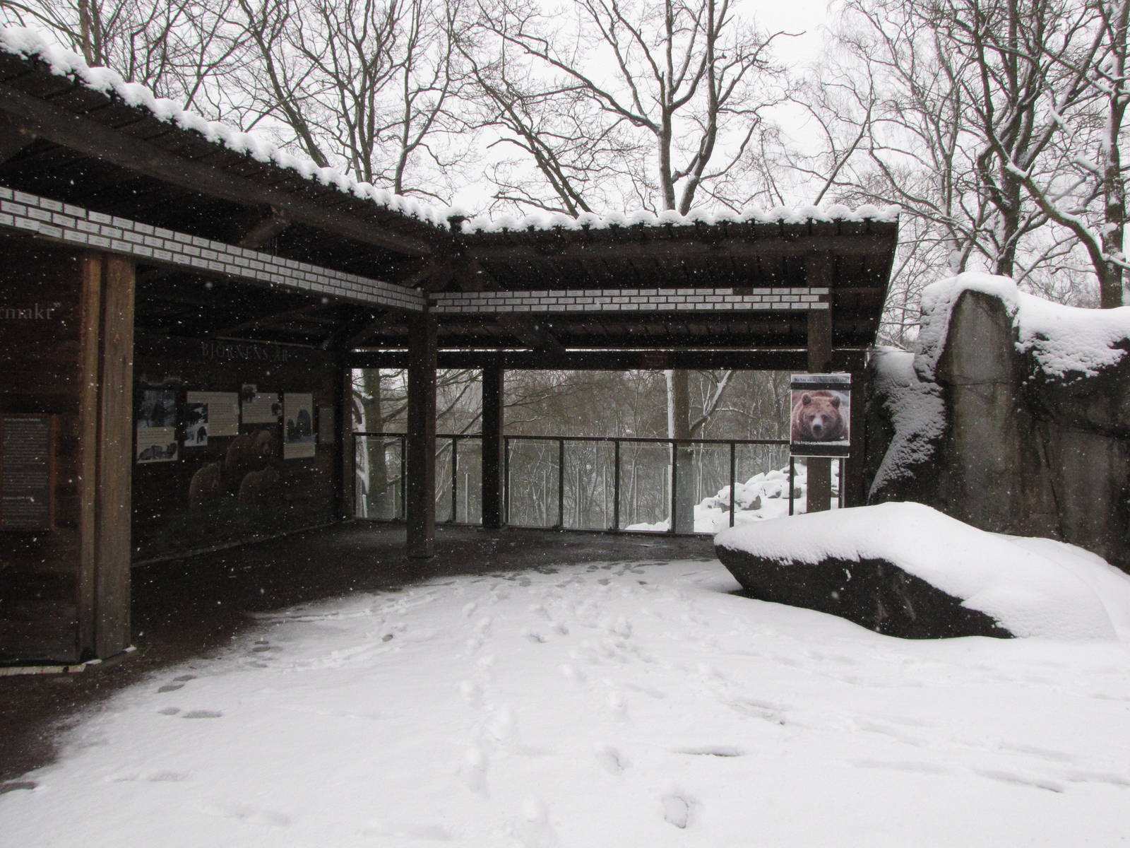 More bear viewing area at Skansen
