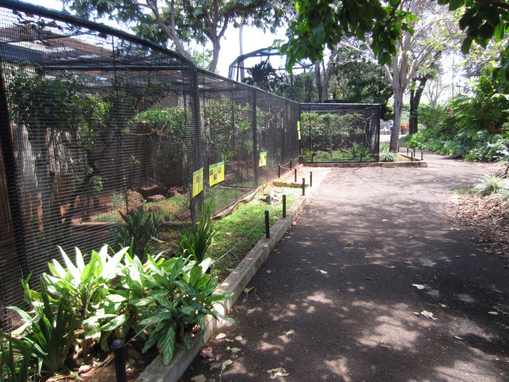 More Bird Aviaries