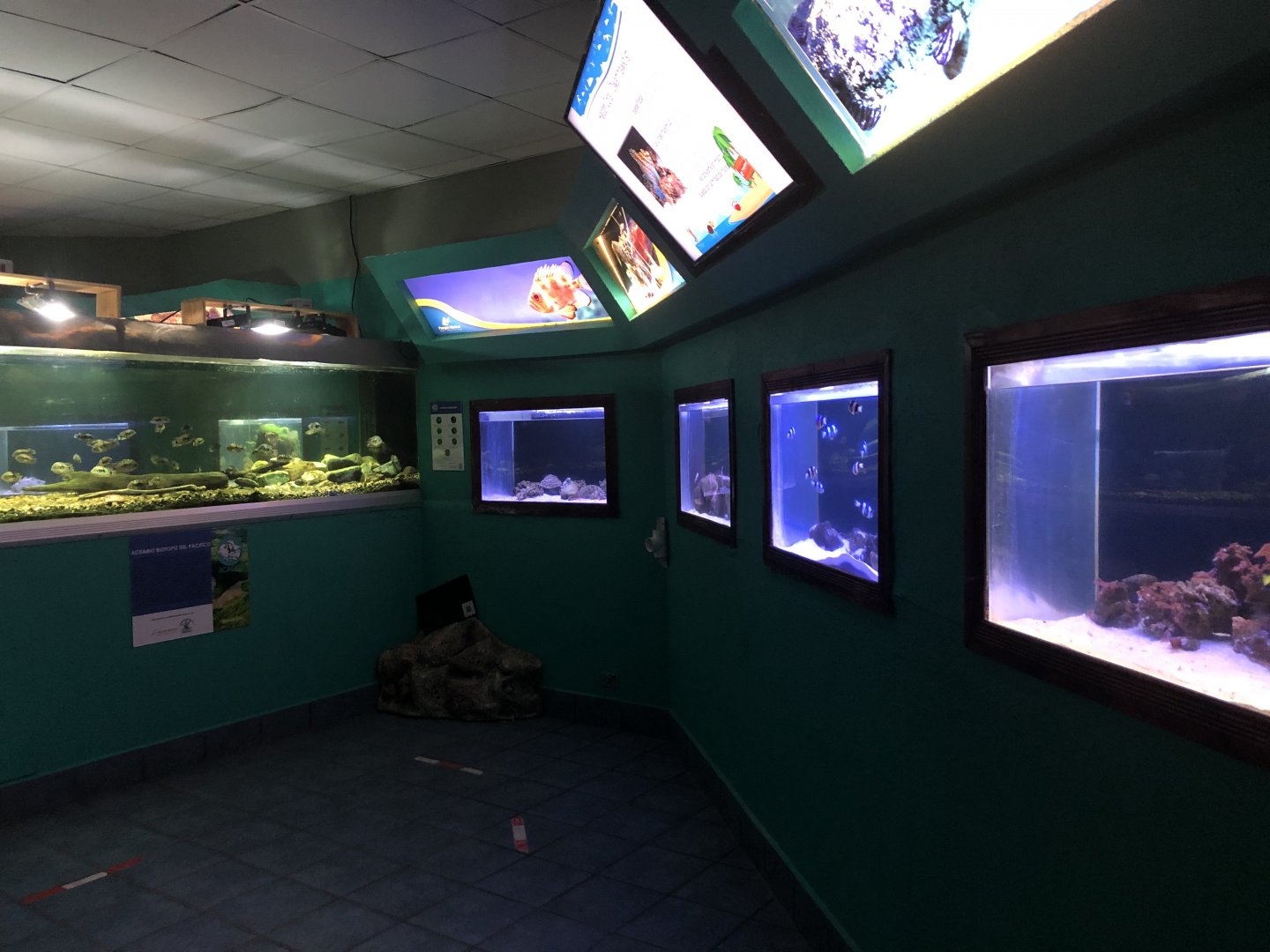 More fish tanks in Aquarium building (Parque Marino del Pacifico)