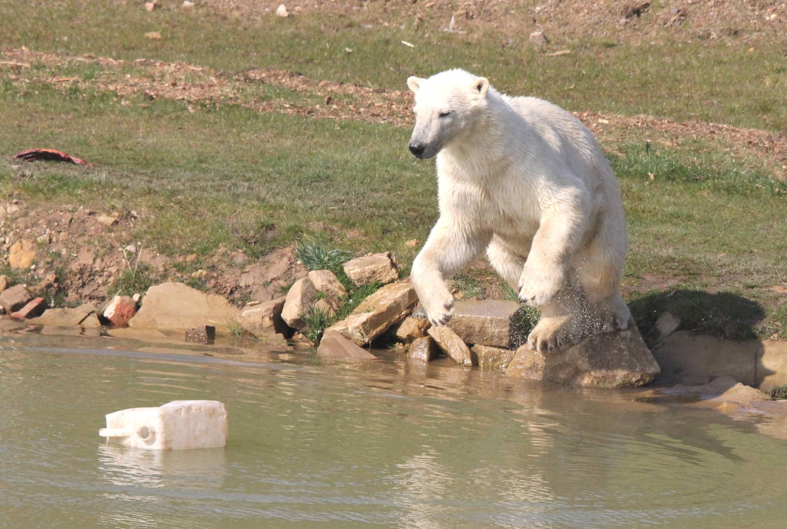 More flying pixel 6-4-15