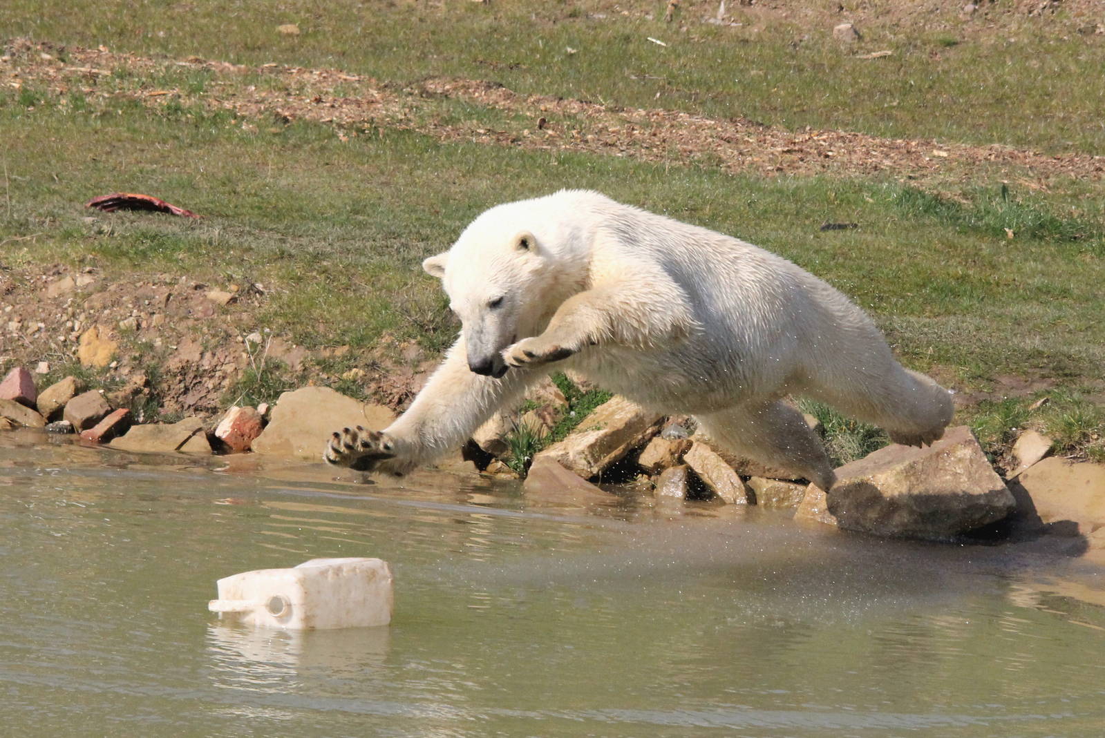 More flying pixel 6-4-15