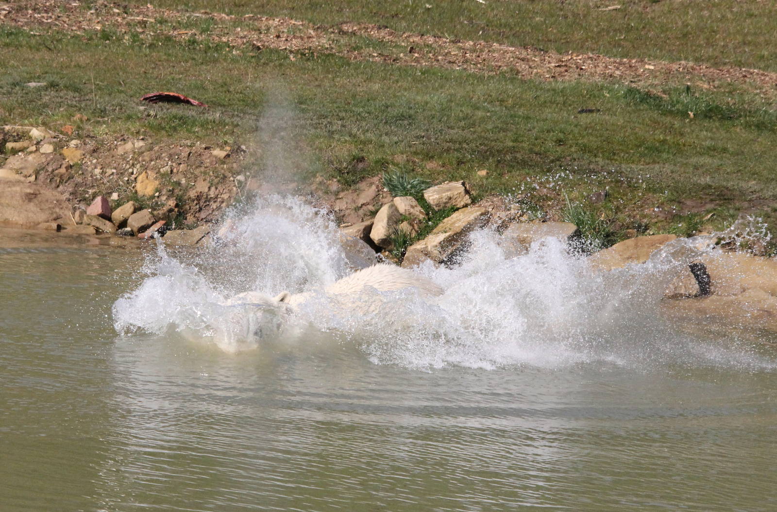 More flying pixel 6-4-15