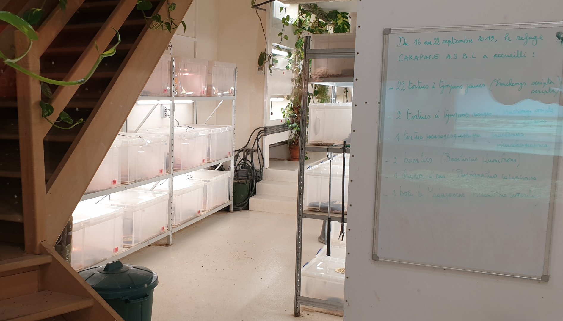 More Herp-holding-area