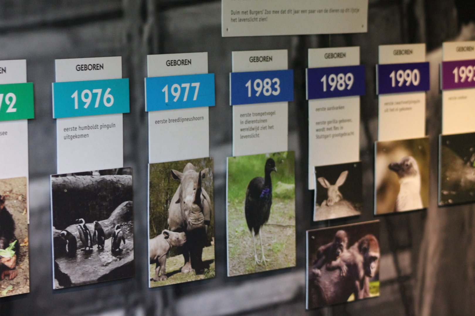 More historical succeses