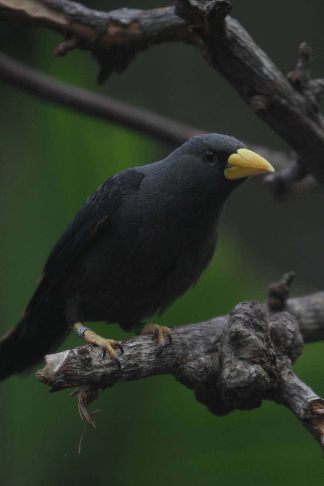 More ID Help Needed, Please