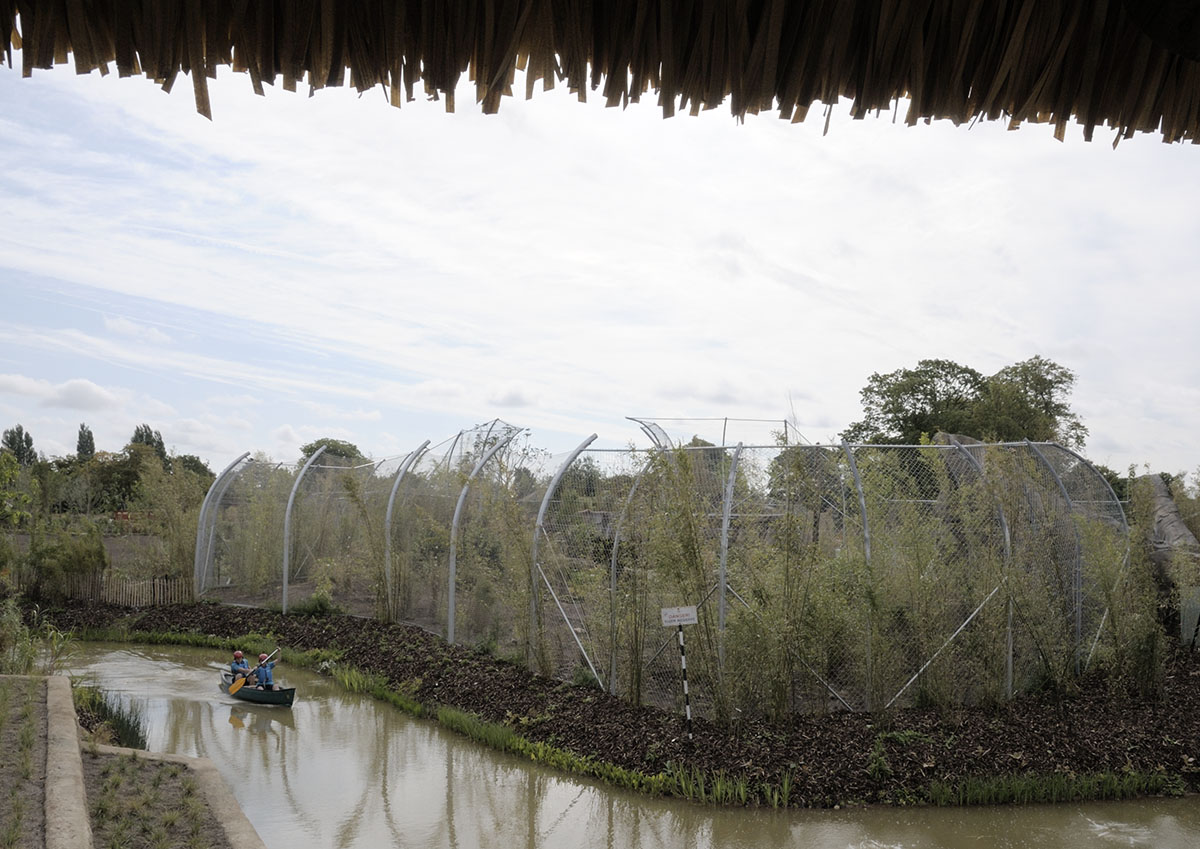 More Islands: Tiger Enclosure