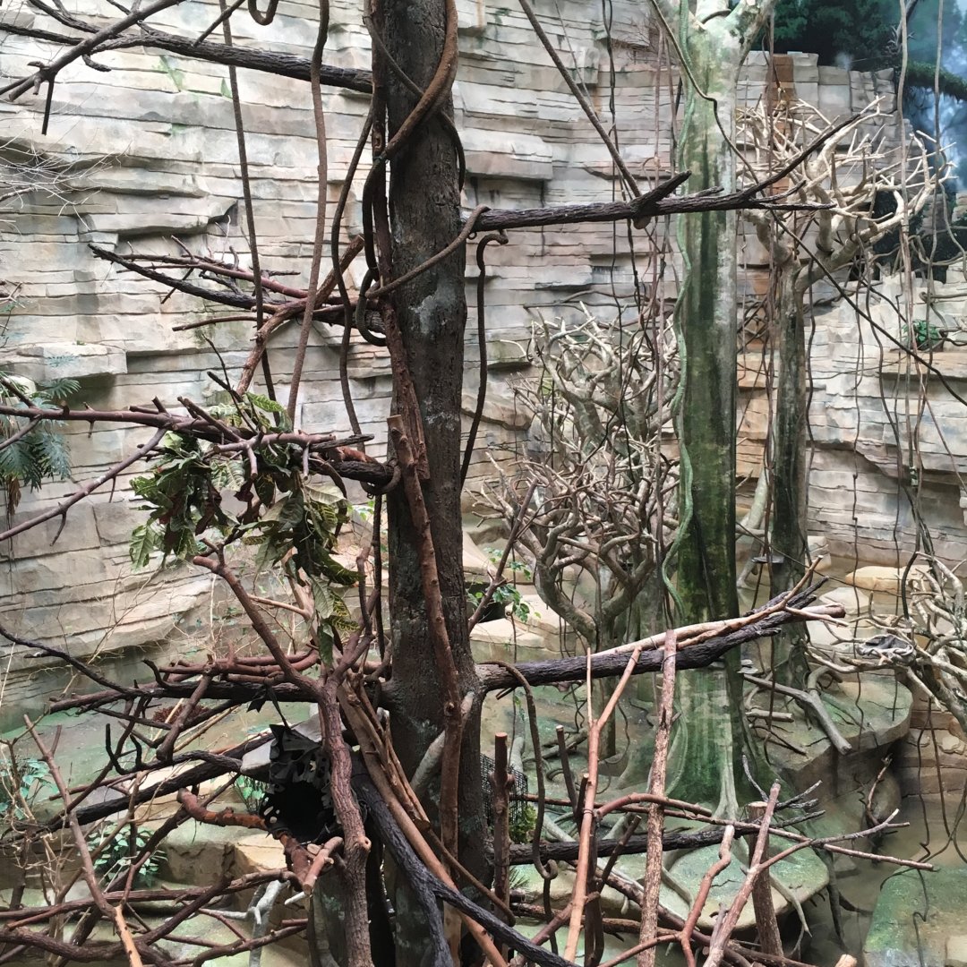 More Large Exhibits at Brookfield!