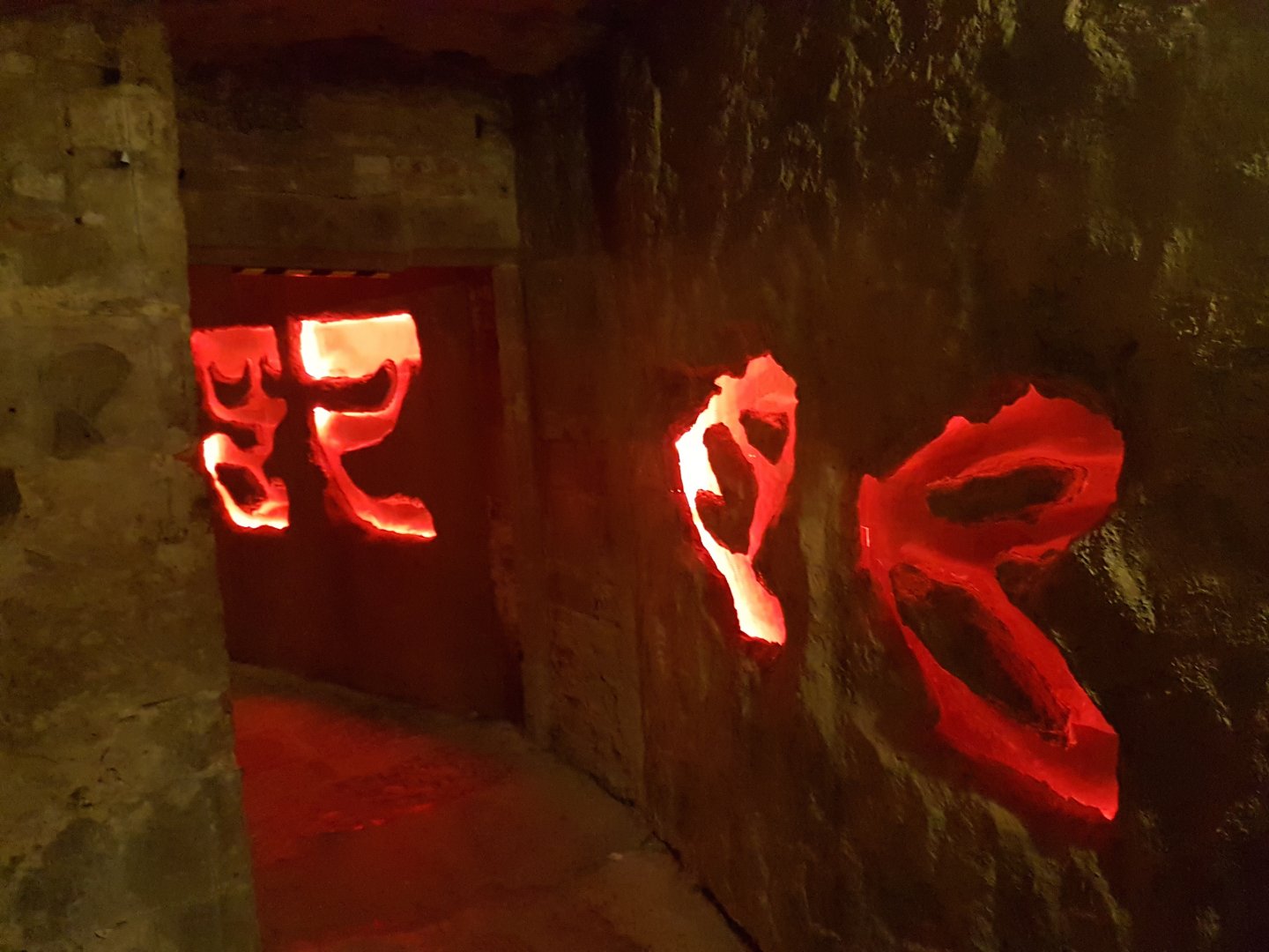 More Naked mole-rat enclosures