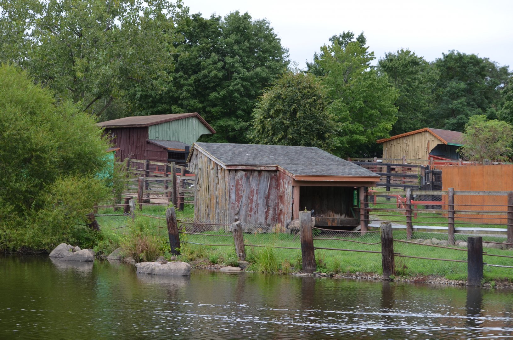 More of the Emu Habitat