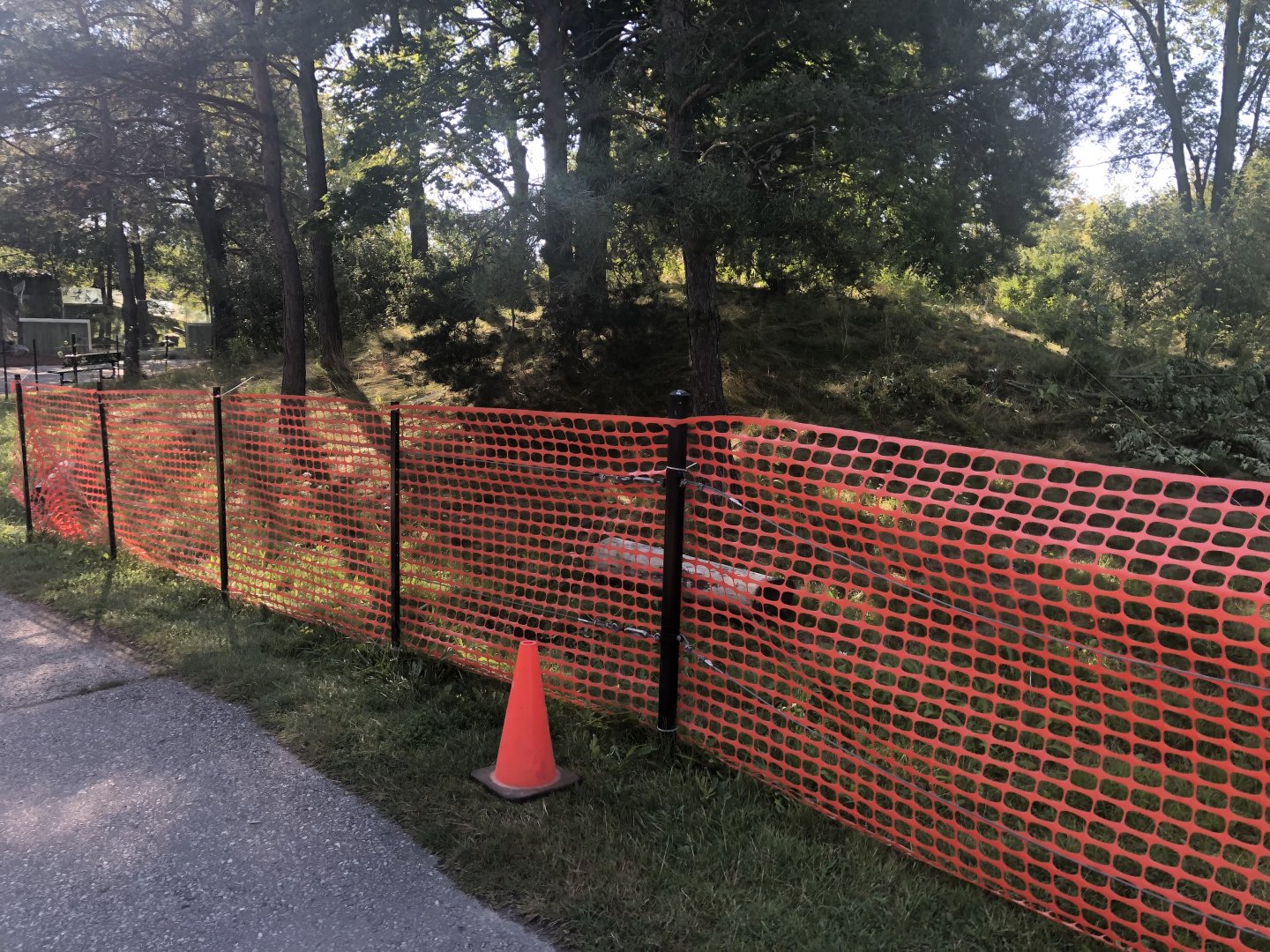 More of the expansion