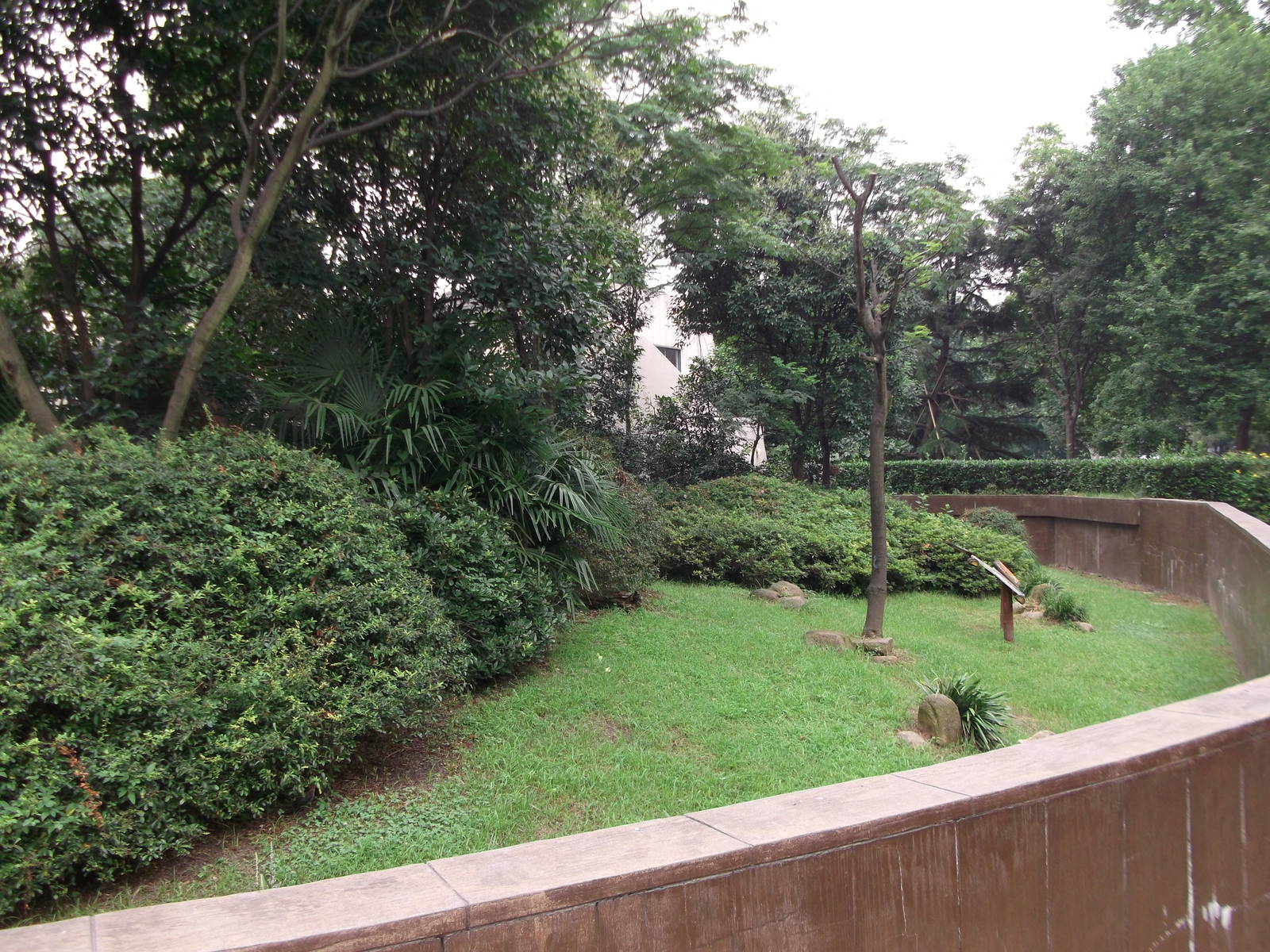 More of the outside Squirrel Monkey enclosure