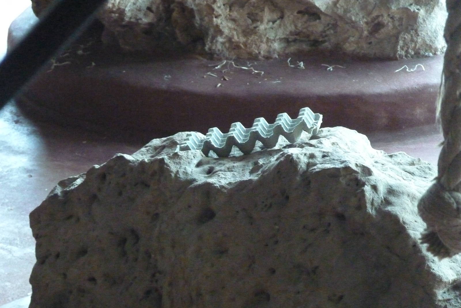 More orangutan enrichment, March 2016