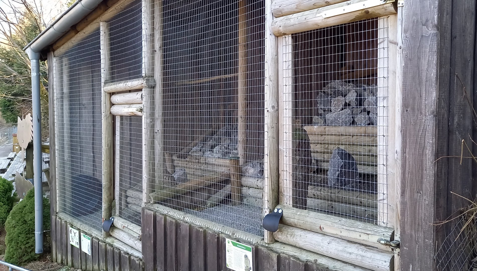 More Owl-aviaries