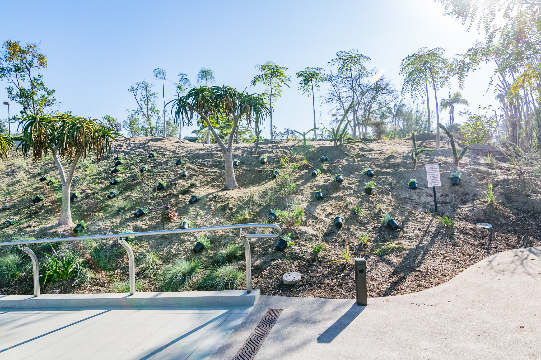 More plants going in today.