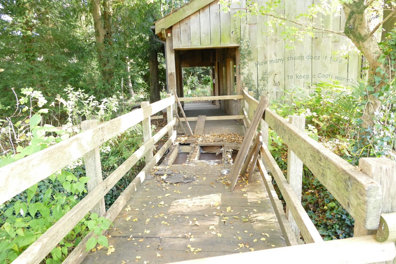 More repair work in progress, November 2021