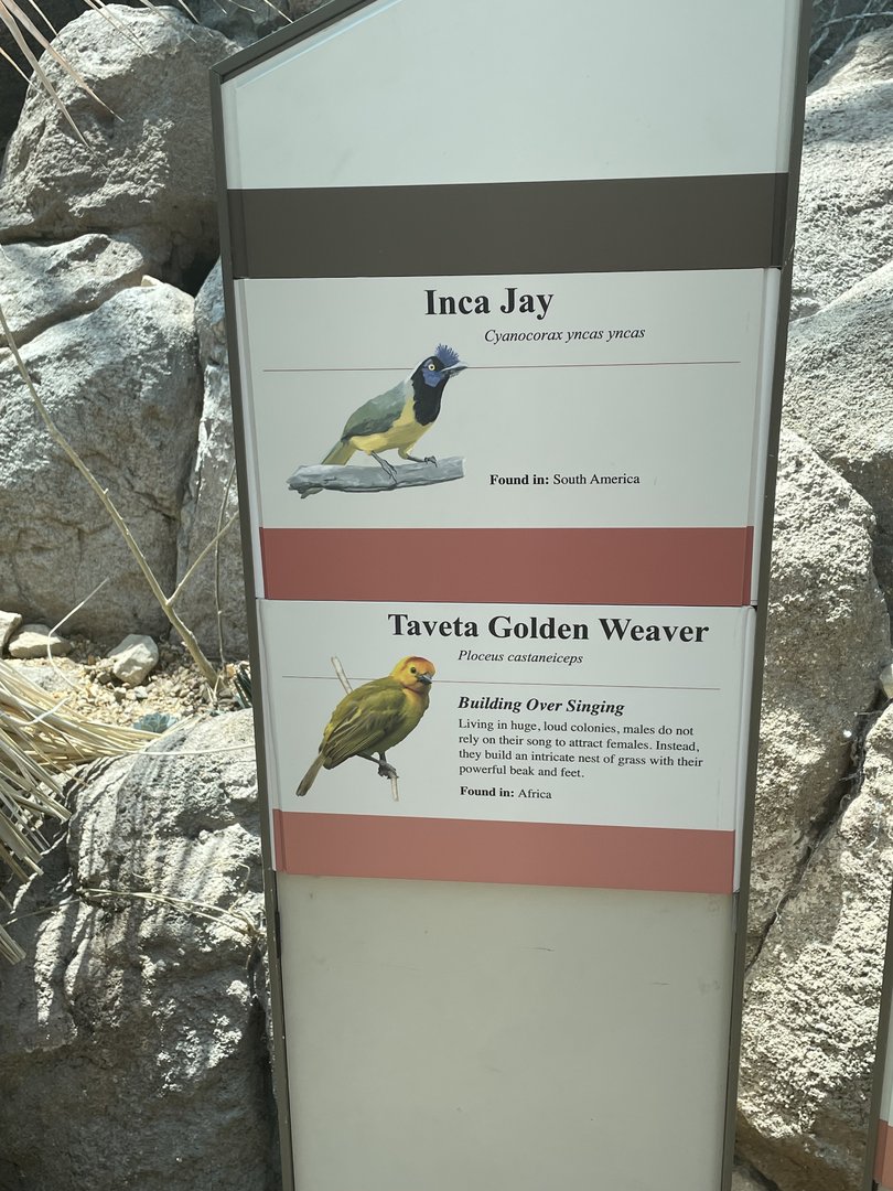 More Signage For Free Flying Birds