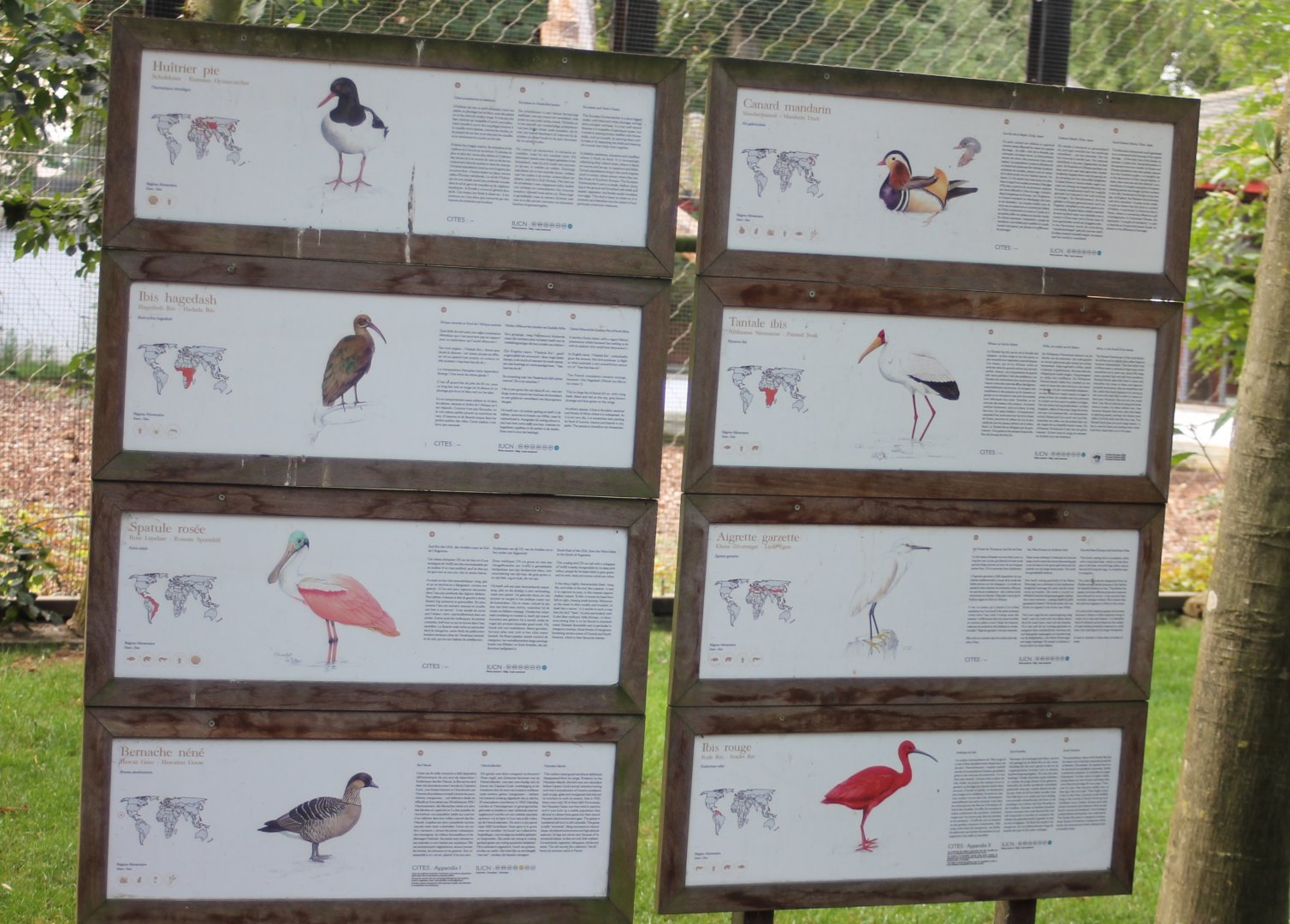 More signs Free-flight-aviary