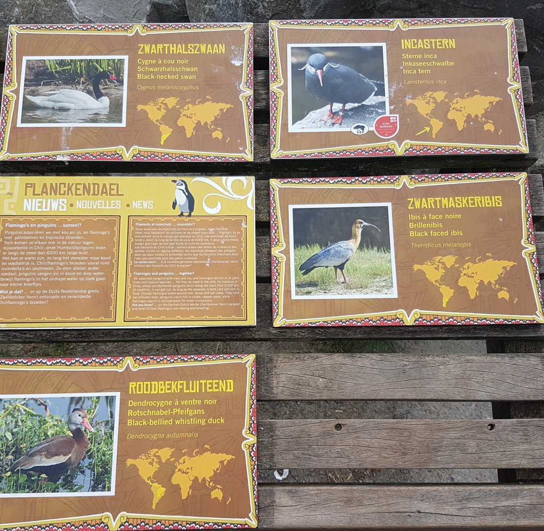 More signs South America Walk-through aviary