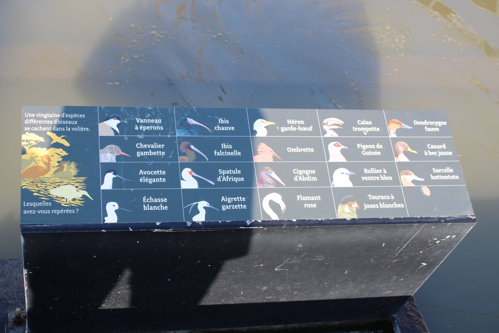 More ( simple ) Bird-signs in the Walk-through aviary