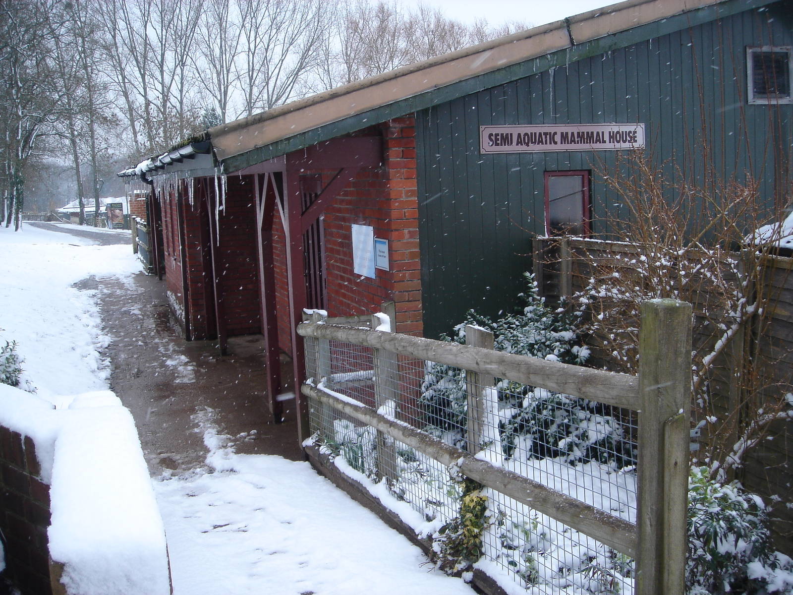 More Snow!!  2 / 2 / 09