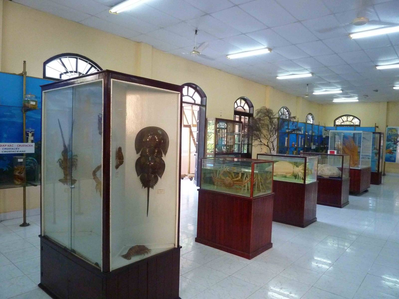 More specimens, May 2013.