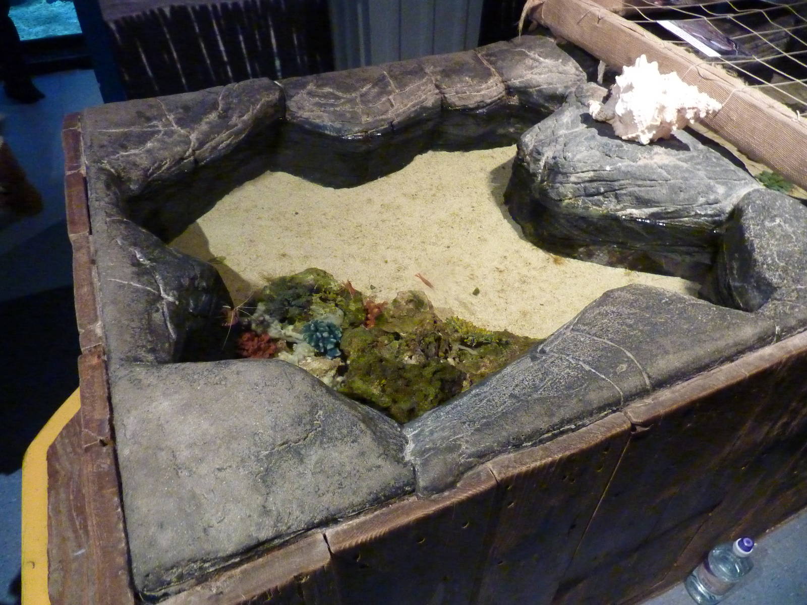 More than just a touch tank