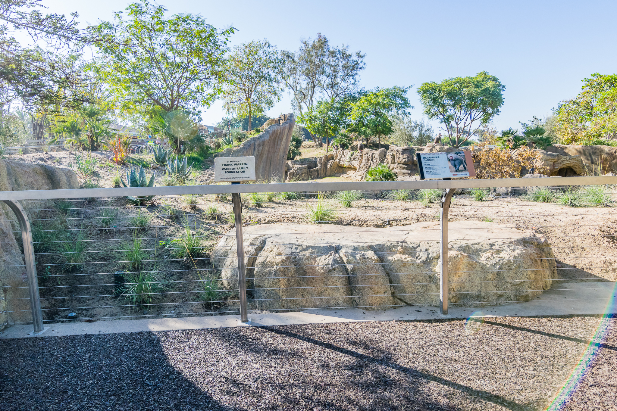 More viewing area for the baboons.