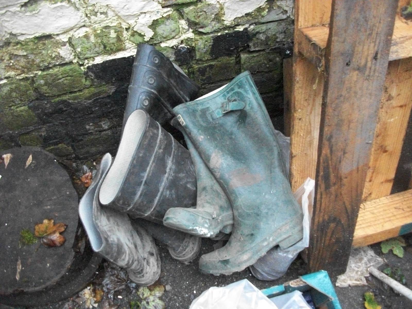 More zoo history consigned to the scrapheap, 20th September 2014