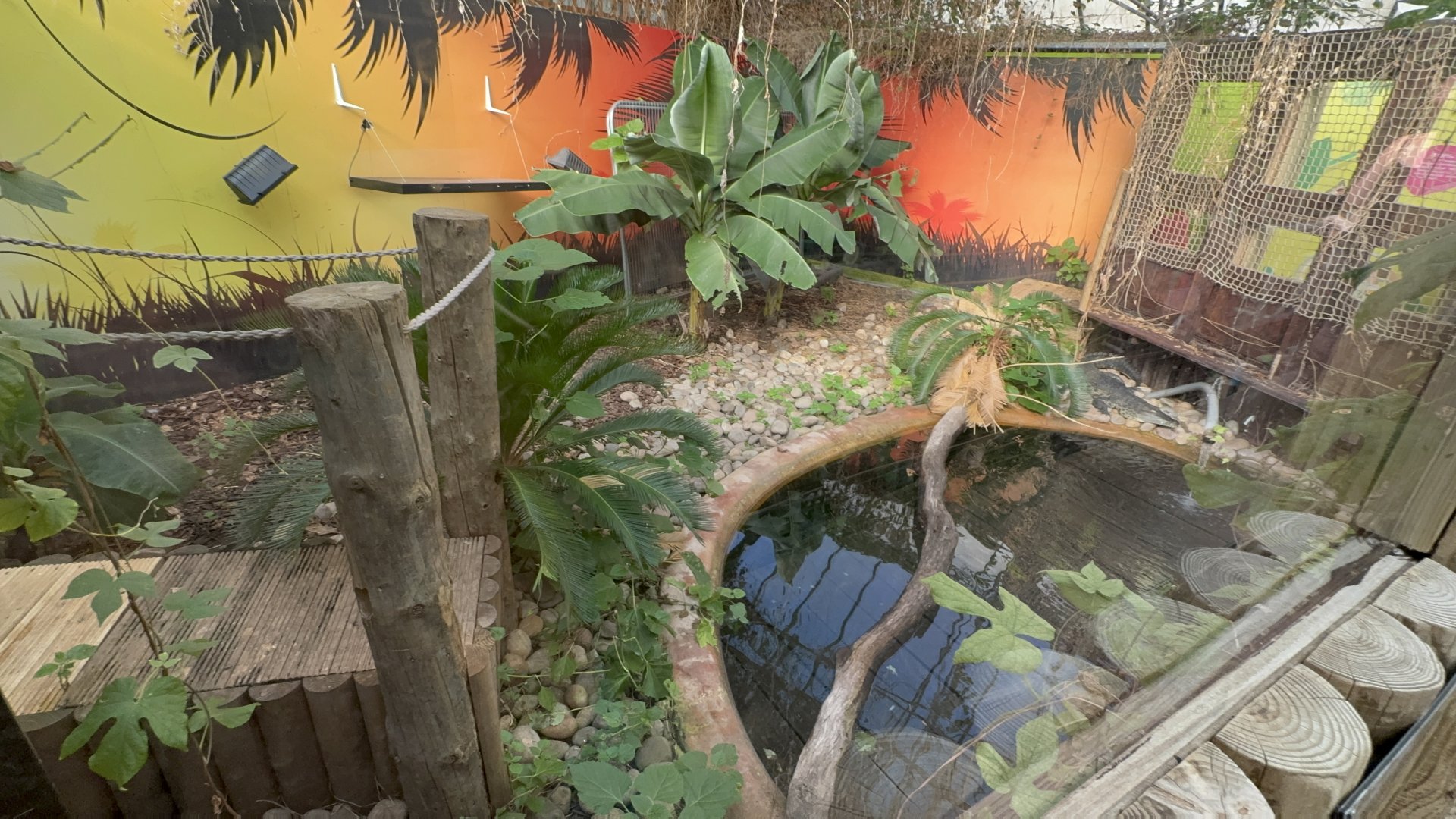 Morelet's Crocodile Enclosure at Tropical World (October 2024)