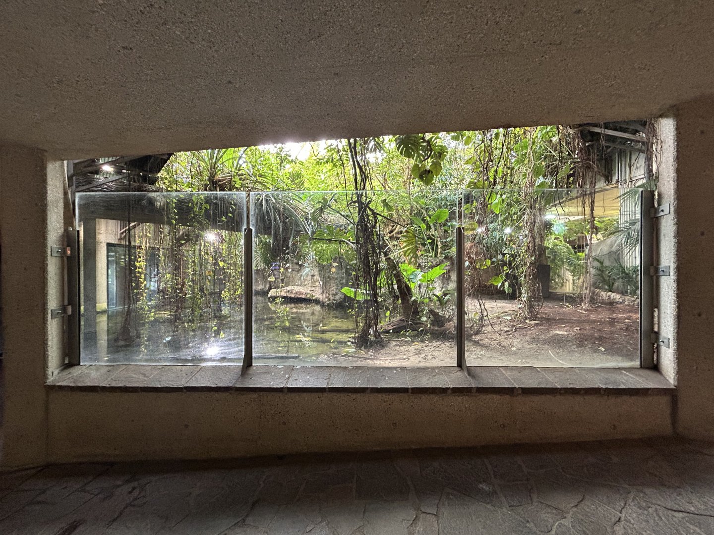 Morelet’s Crocodile Exhibit - Aquarium-Terrarium