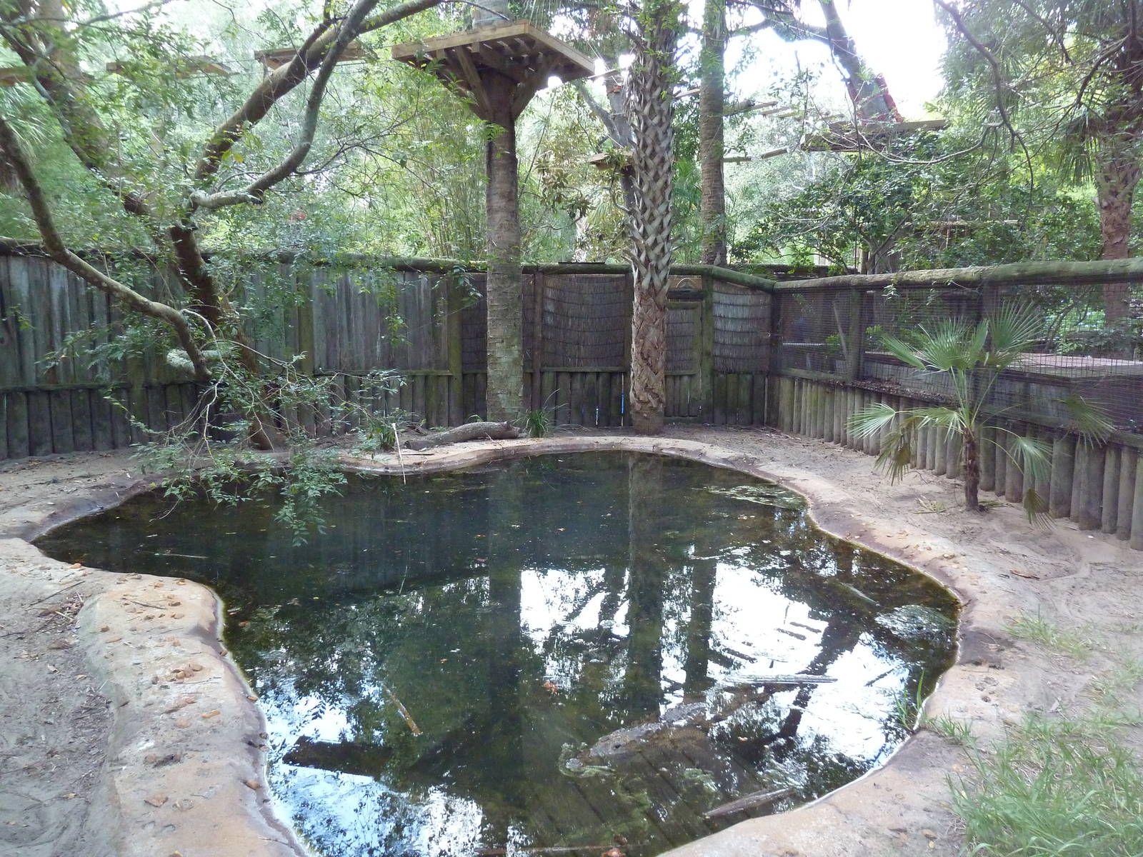 Morelet's Crocodile Exhibit