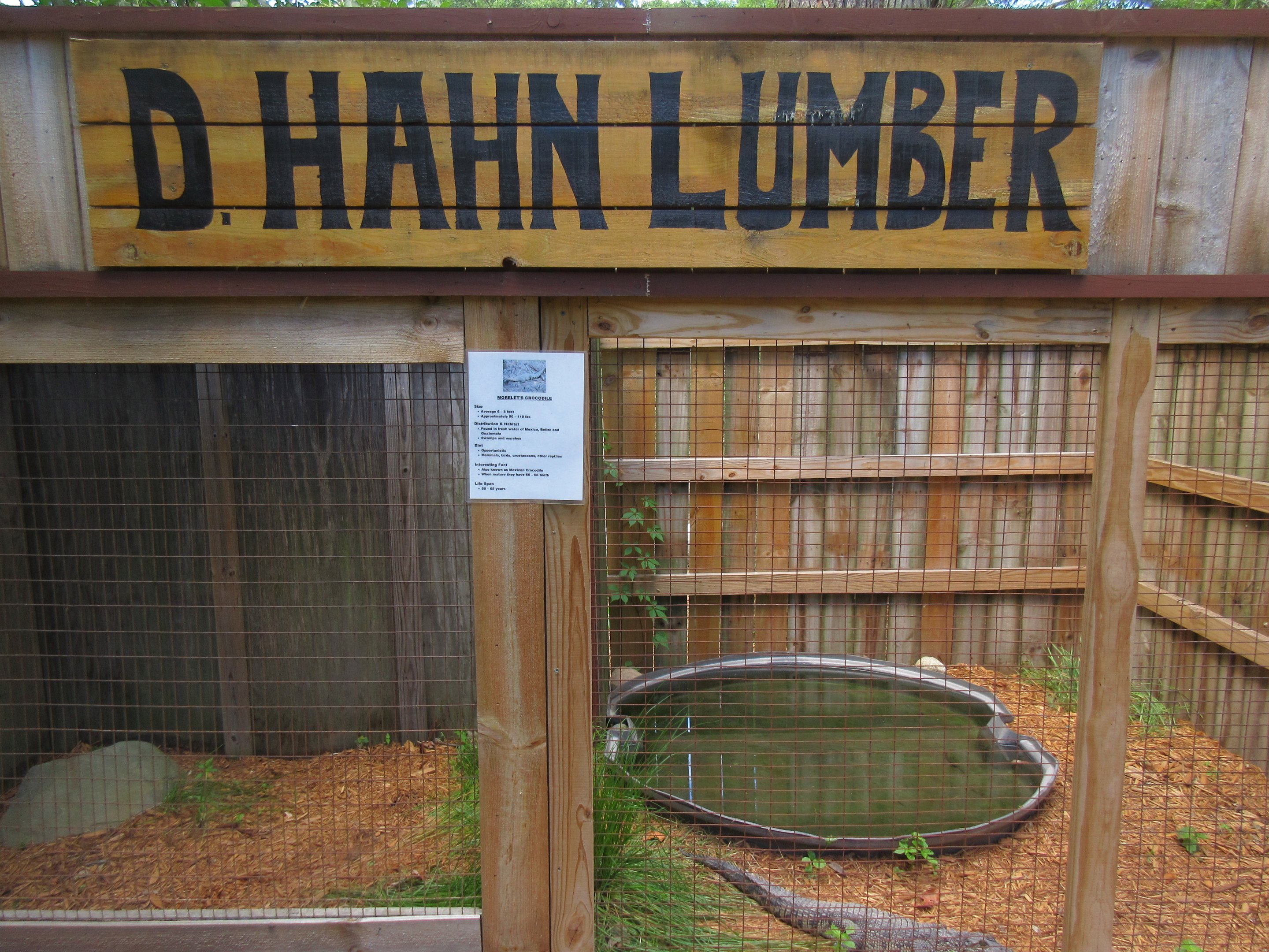 Morelet's Crocodile Exhibit