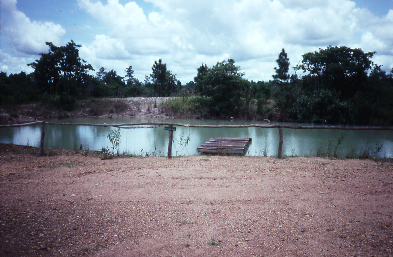 Morelets Crocodile pond