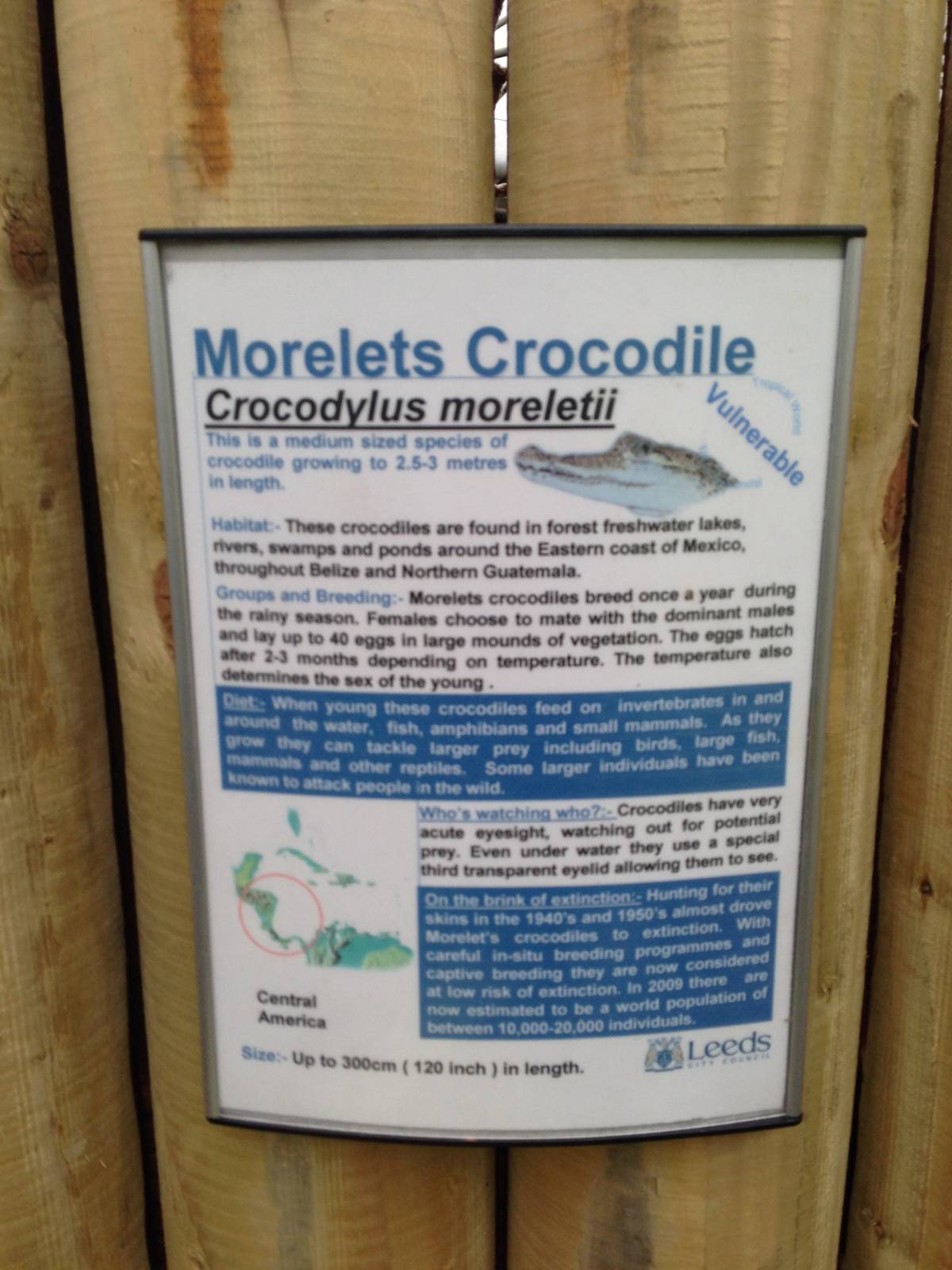 Morelets Crocodile Signage at Tropical World - 02/10/2013