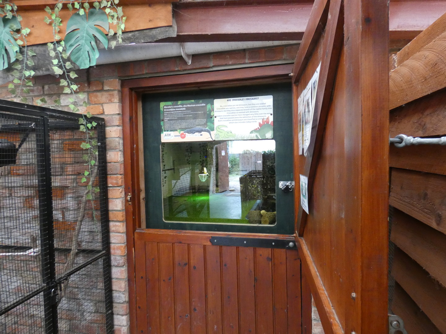 Morelet's crocodile viewing area