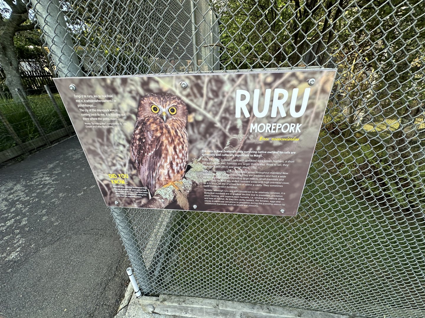 Morepork Signage