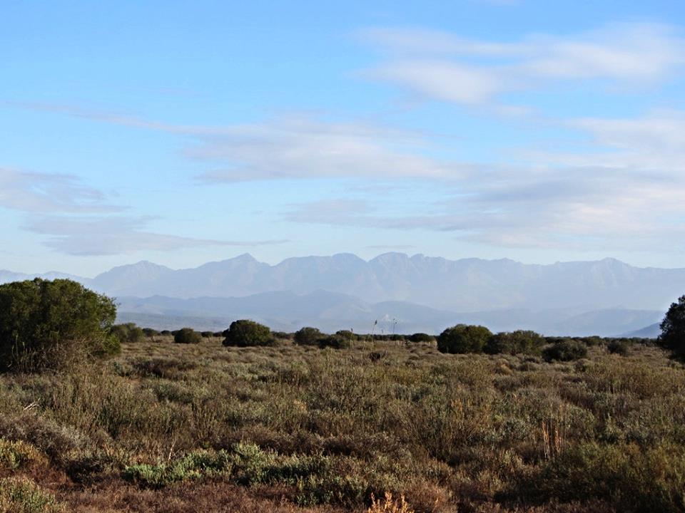 Morning on the Karoo