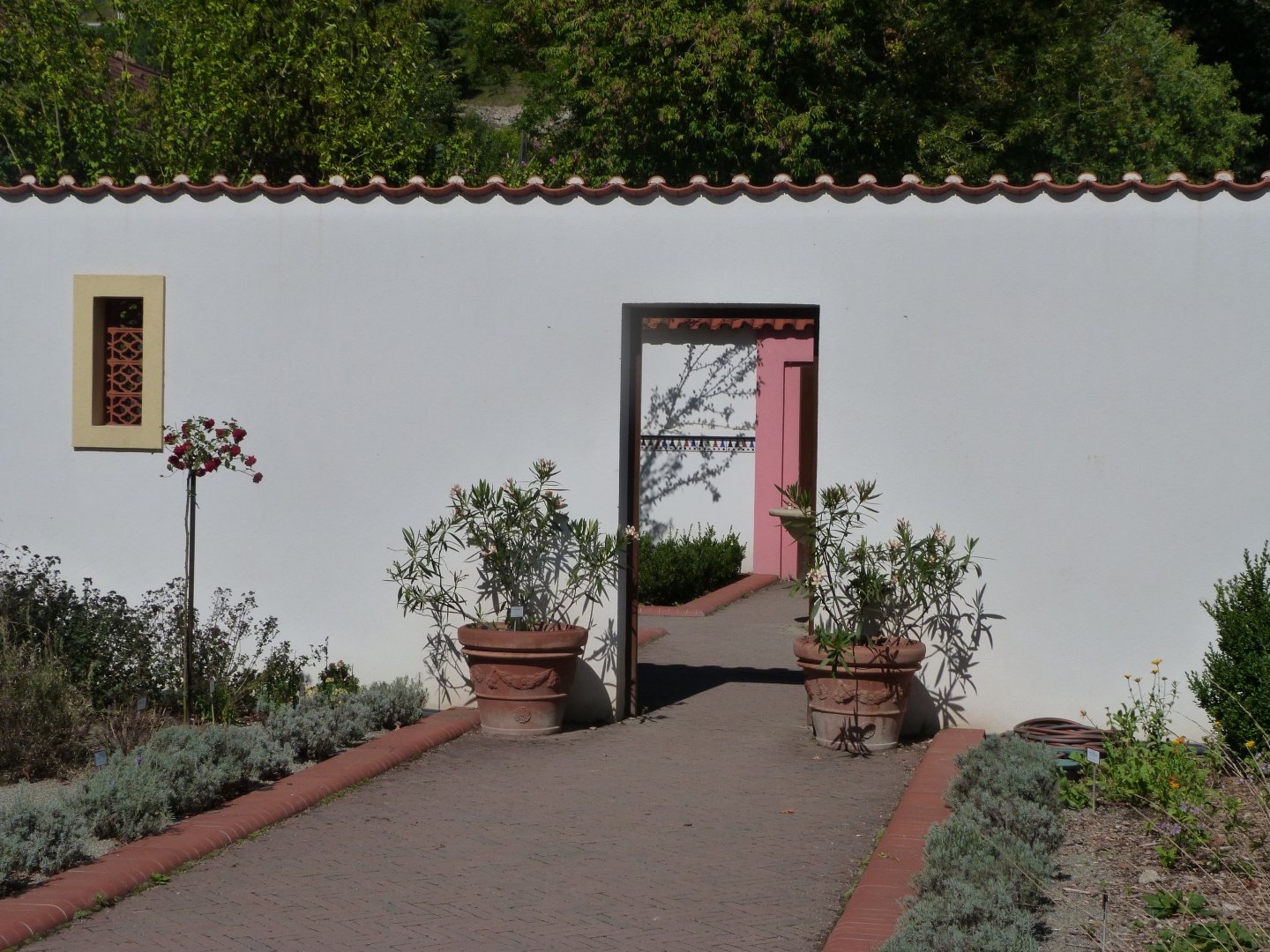 Moroccan garden -Zoo Plzeň (2025)