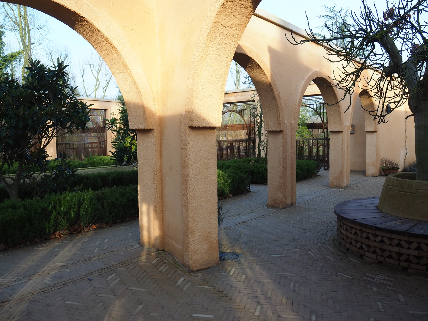 Moroccan gardens with Barbary macaque viewing areas, 2019-12-28