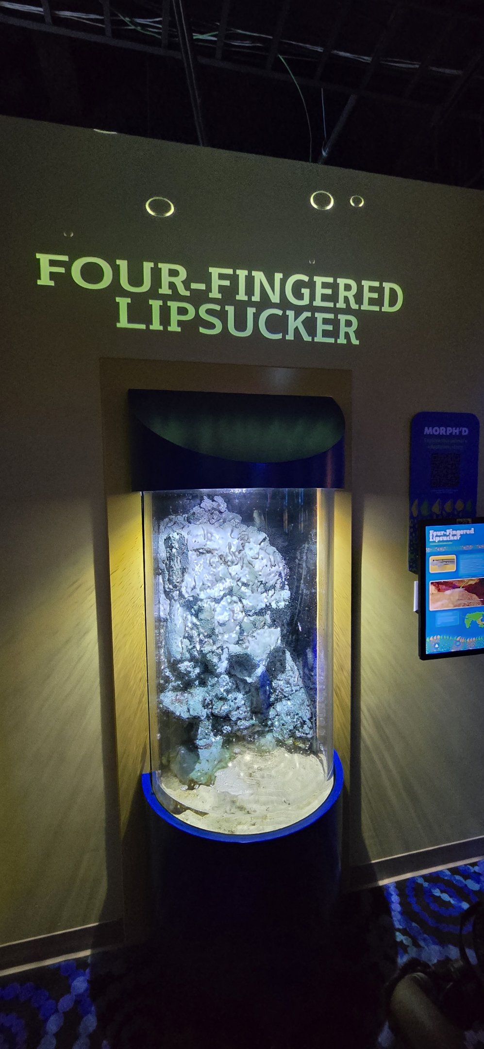 MORPH'D - Four fingered lipsucker