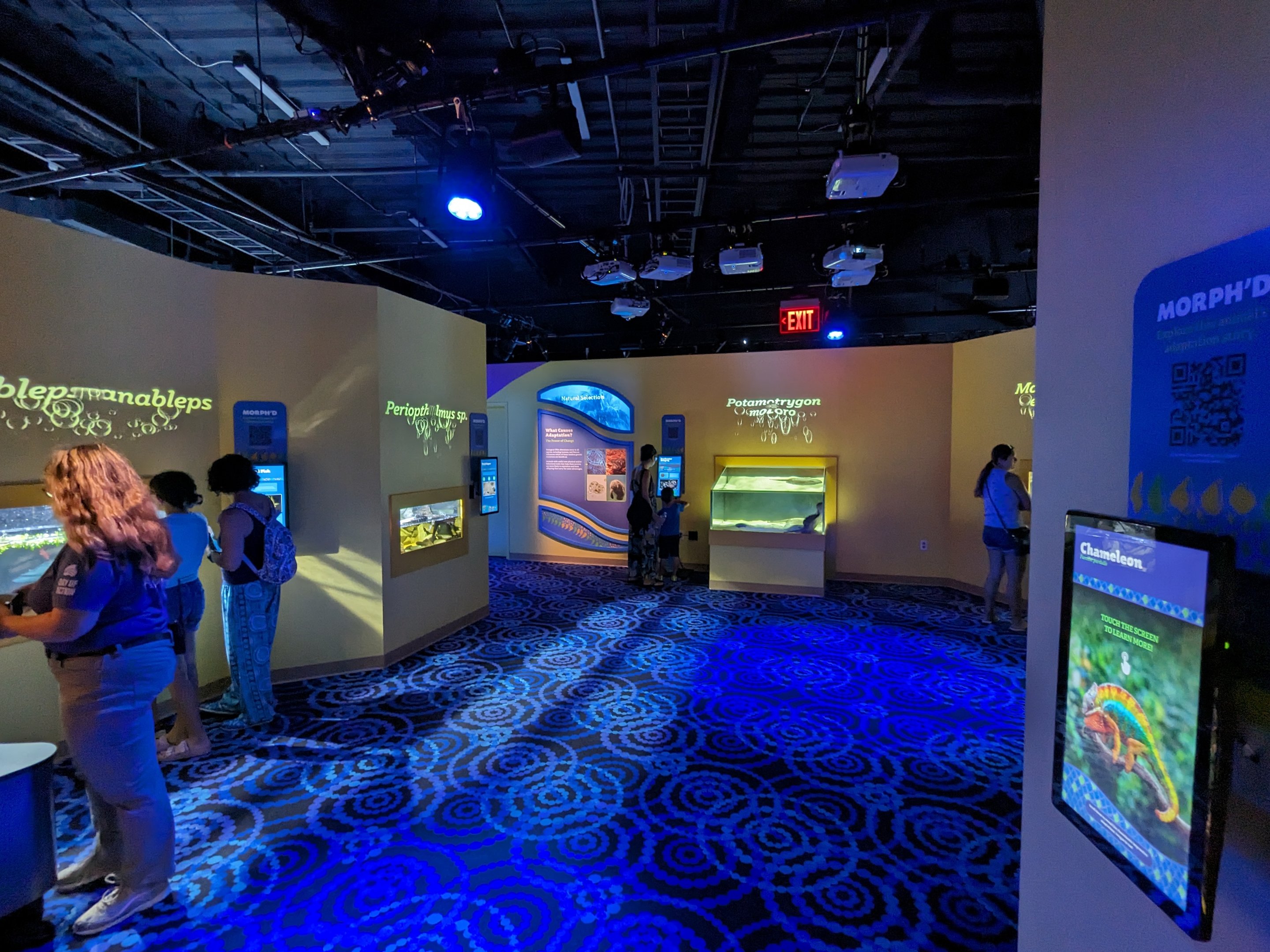 MORPH'D - Gallery view