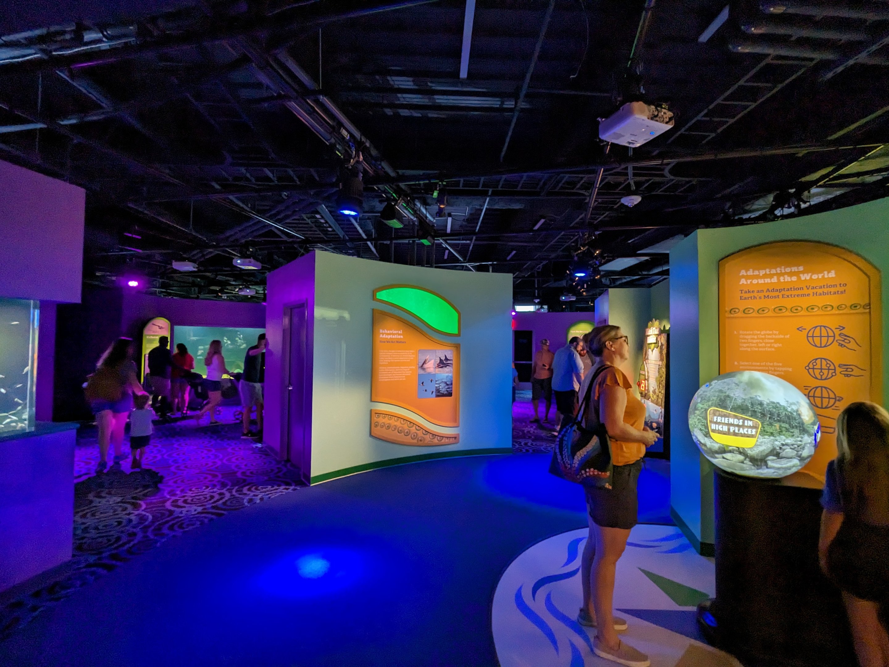 MORPH'D - Gallery view