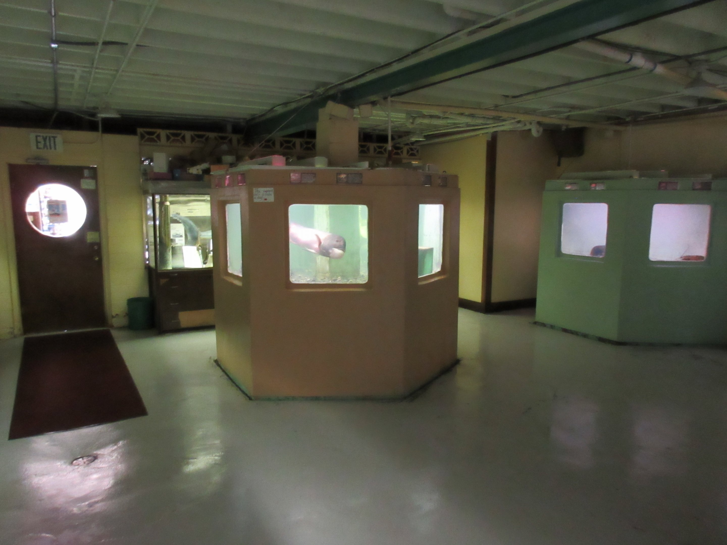 Morro Bay Aquarium Interior