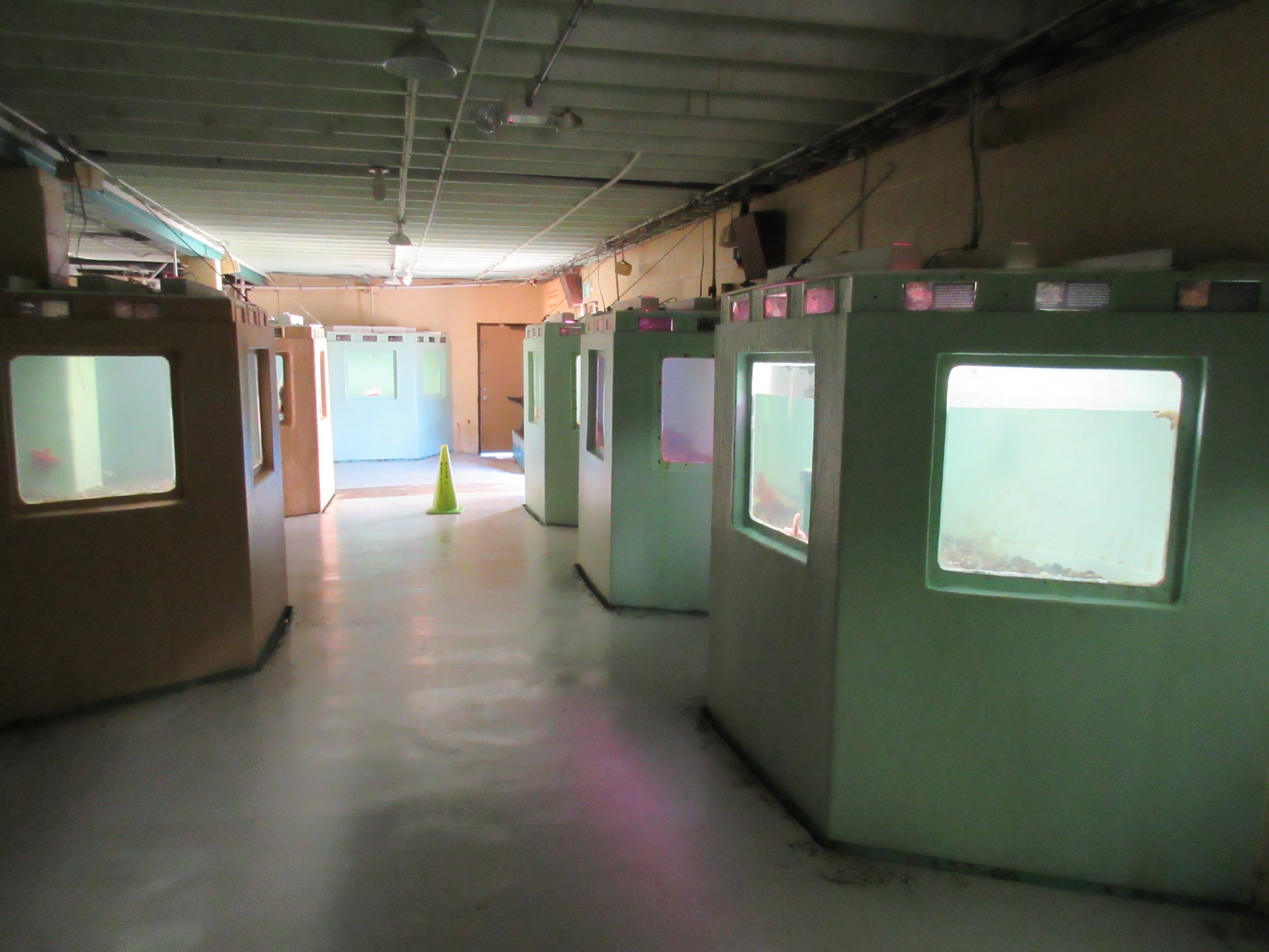 Morro Bay Aquarium Interior