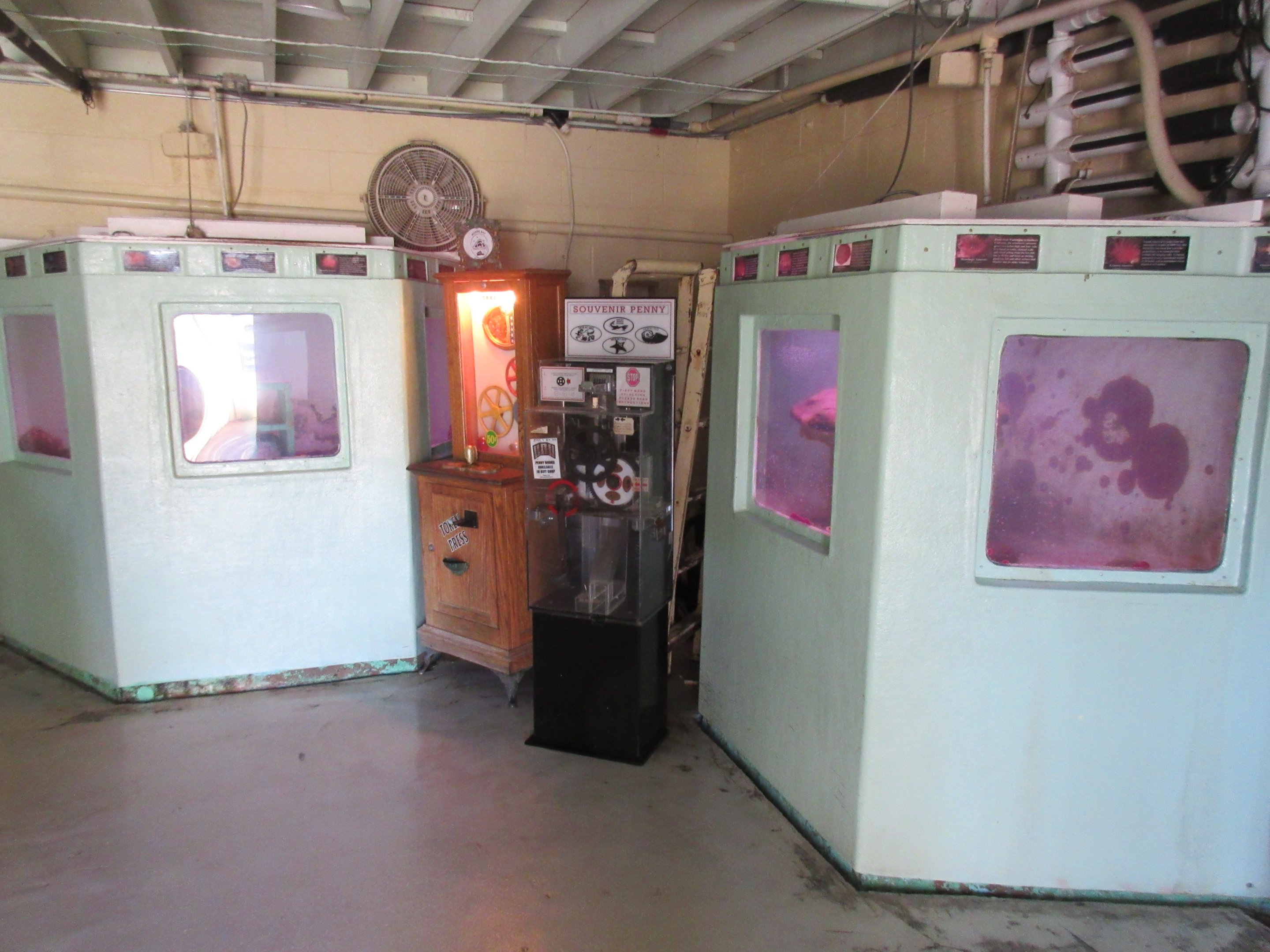 Morro Bay Aquarium Interior