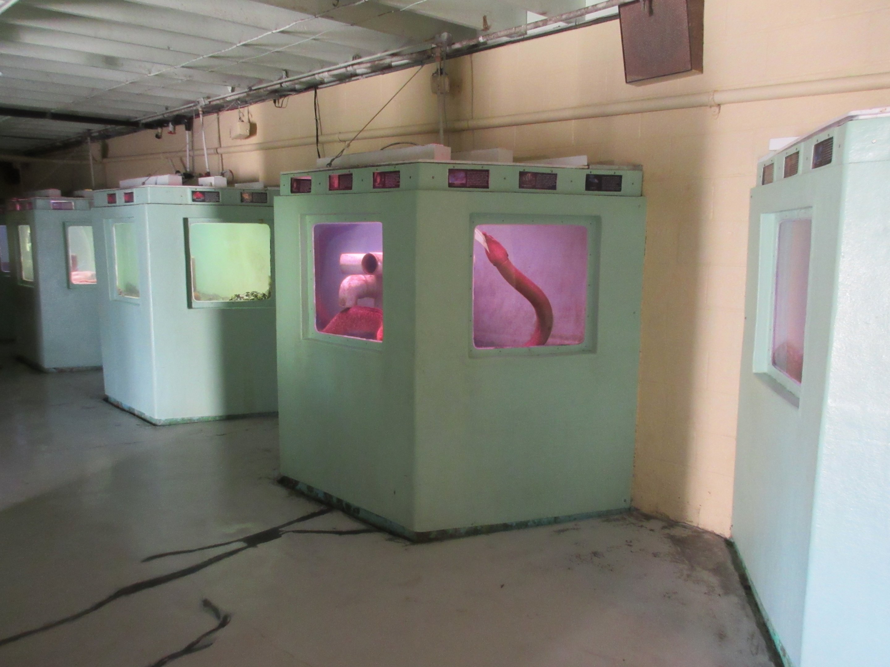 Morro Bay Aquarium Interior