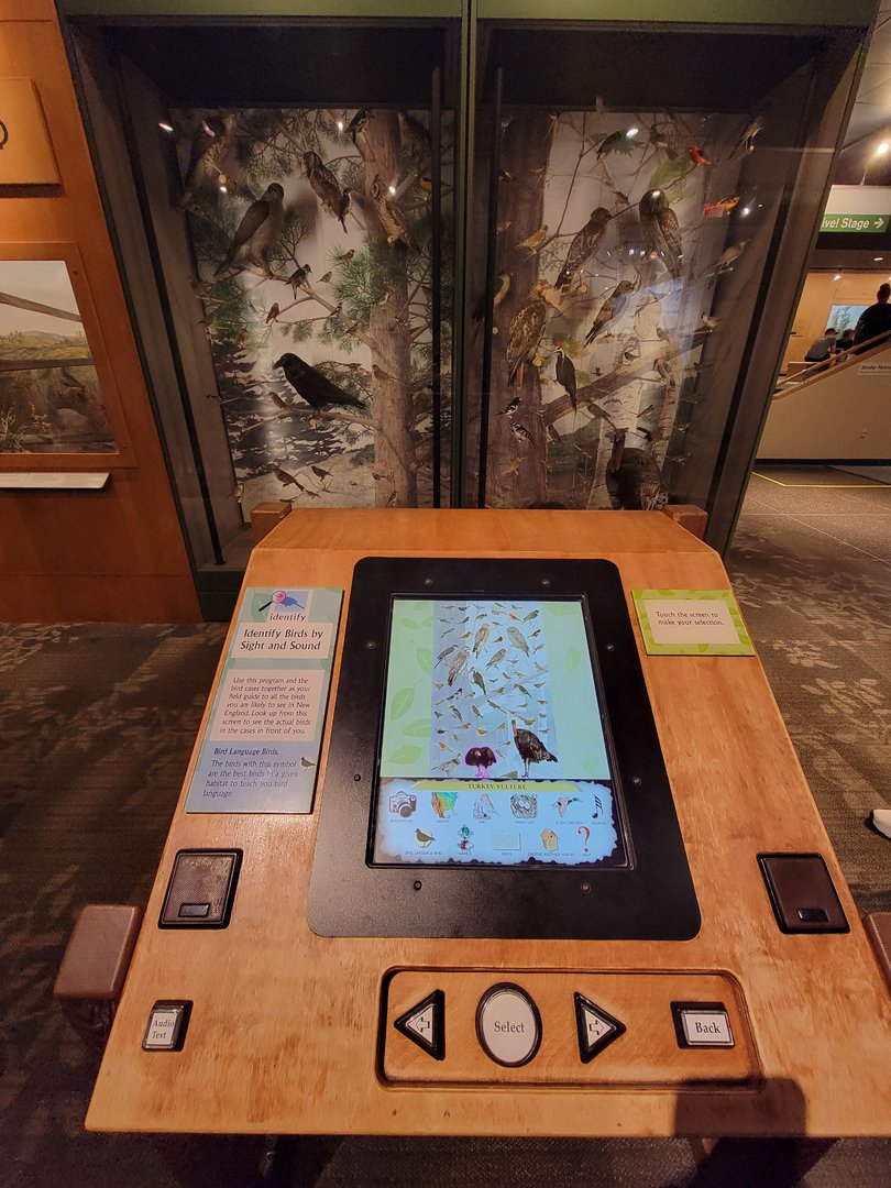 MOS Boston - A Bird's World, computer to look up/hear species