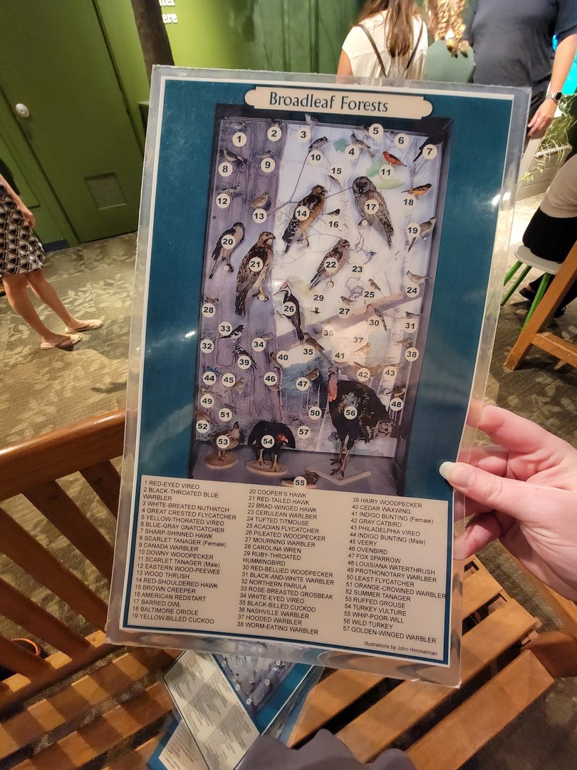 MOS Boston - A Bird's World, ID sheet