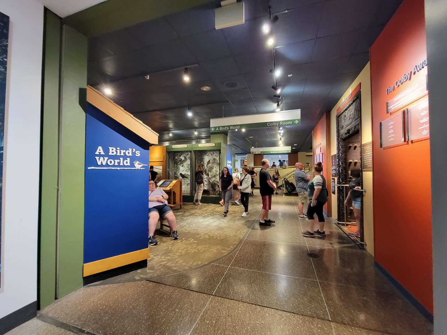 MOS Boston - A Bird's World, lower level